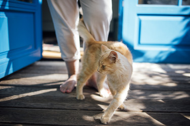 Similar image 22528300