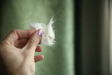 Similar image 22522989