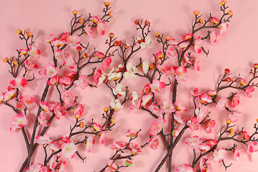 Similar image 22527938