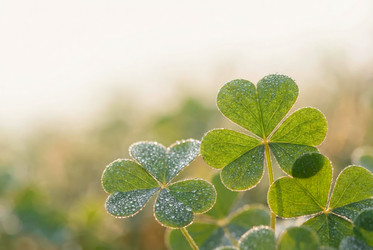 Similar image 22520710