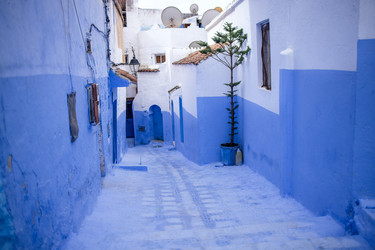 Similar image 22528322