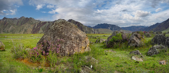 Similar image 22525999