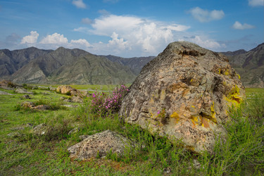 Similar image 22526000