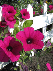 Similar image 22530936