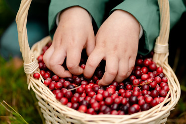 Similar image 22578481