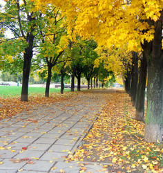 Similar image 22527756