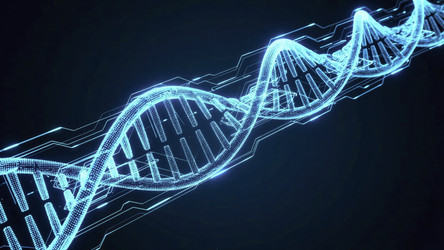 Similar image 22578002