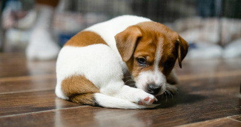 Similar image 22578504