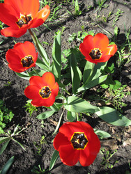 Similar image 22530976