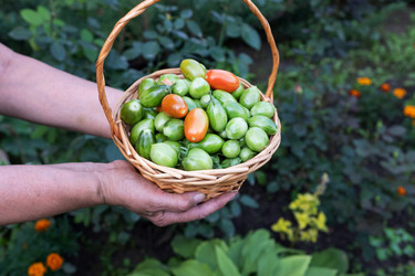 Similar image 22523032