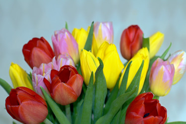 Similar image 22585189