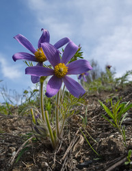 Similar image 22525983