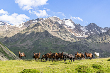 Similar image 22527515