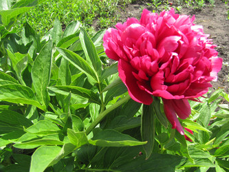 Similar image 22530897