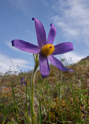 Similar image 22525984