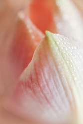 Similar image 22528172