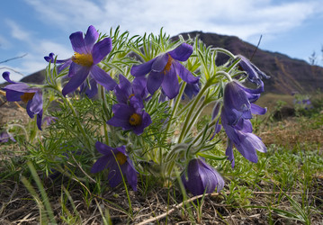 Similar image 22526002