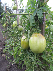 Similar image 22530923