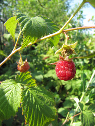 Similar image 22530924