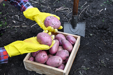 Similar image 22523020