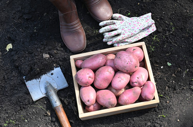 Similar image 22523021