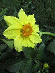 Similar image 22530925