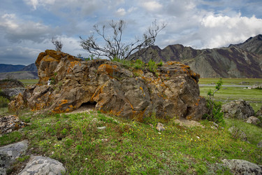 Similar image 22526003