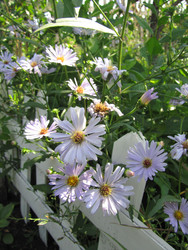 Similar image 22530937