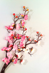 Similar image 22527944