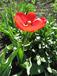 Similar image 22530939