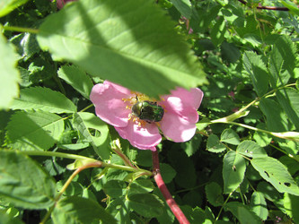 Similar image 22530940