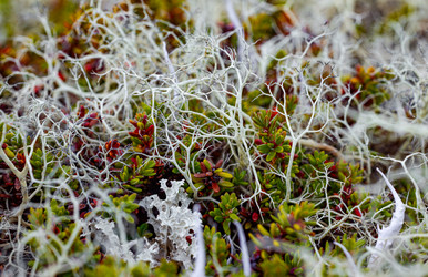 Similar image 22580263