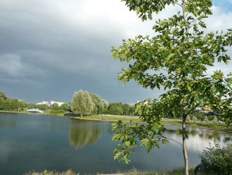 Similar image 22527742