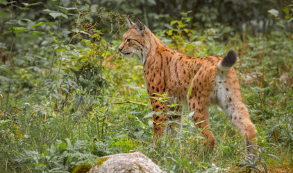 Similar image 22580265