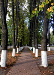 Similar image 22555380