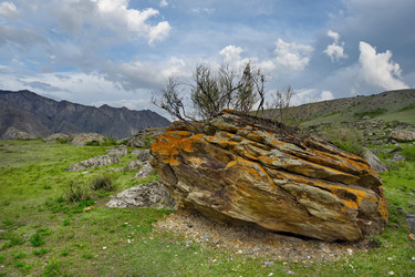 Similar image 22526004