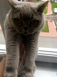 Similar image 22555381