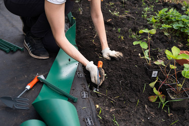 Similar image 22523034