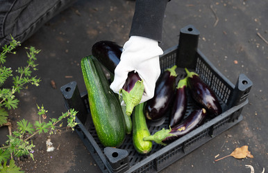 Similar image 22523035