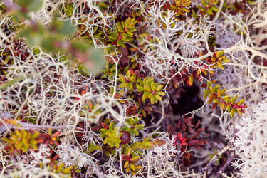 Similar image 22580279