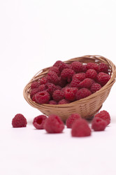 Similar image 22554204