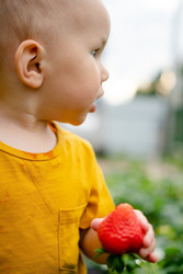 Similar image 22578507