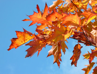 Similar image 22527758