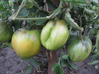 Similar image 22530900