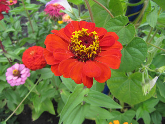 Similar image 22530901