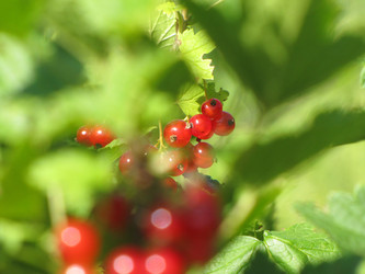 Similar image 22530902