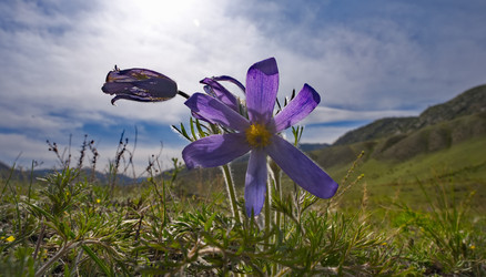 Similar image 22525988