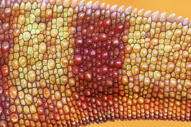 Similar image 22555422