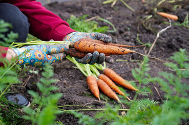 Similar image 22523023