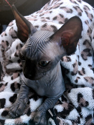 Similar image 22555382